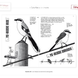 La Hulotte N°20 : Les Oiseaux du bord de la route [guide]
