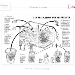 La Hulotte N°21 :  Les habitants de la mare [guide]