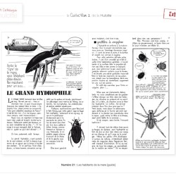La Hulotte N°21 :  Les habitants de la mare [guide]