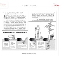 La Hulotte N°22 : Les malheurs du Chêne La Hulotte N°22 : Les malheurs du Chêne