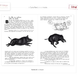 La Hulotte N°23 : Le Sanglier