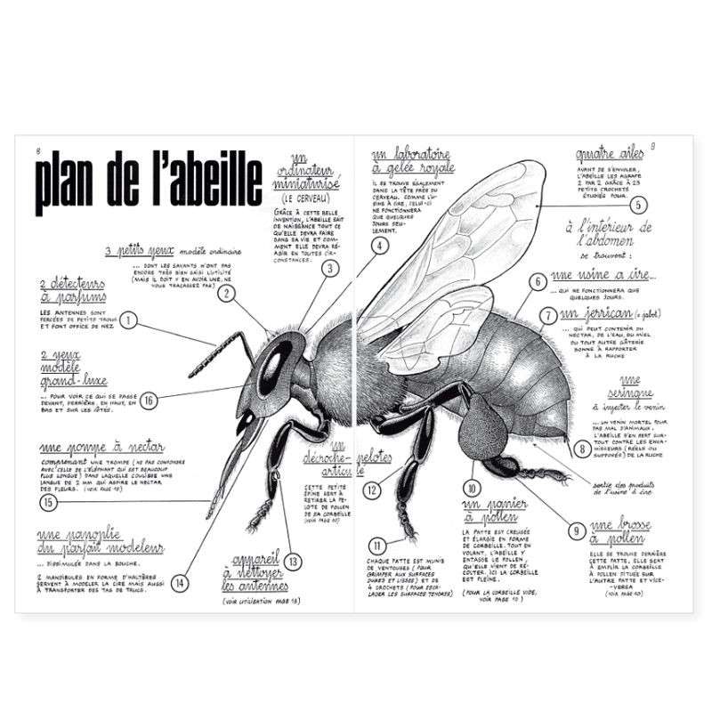 La Hulotte N°28/29 : Spécial Mouche à miel (les abeilles et la ruche) La Hulotte N°28/29 : Spécial Mouche à miel (les abeilles et la ruche)