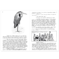 La Hulotte N°30 : Le Héron - Le Brochet [1]