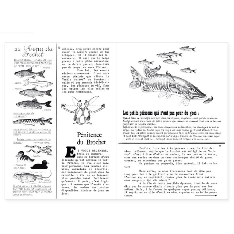 La Hulotte N°31 : Le Campagnol des champs - L'Affaire Mulot - Le Brochet [2]