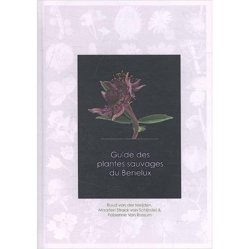 Guide des plantes sauvages du Benelux