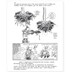 La Hulotte N°35 : Comment planter un arbre ? [guide] - La Mésange charbonnière