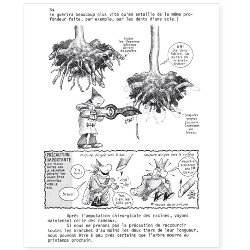 La Hulotte N°35 : Comment planter un arbre ? [guide] - La Mésange charbonnière