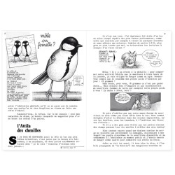 La Hulotte N°35 : Comment planter un arbre ? [guide] - La Mésange charbonnière