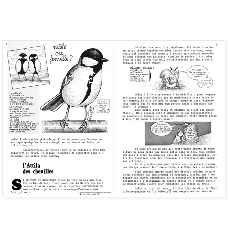 La Hulotte N°35 : Comment planter un arbre ? [guide] - La Mésange charbonnière