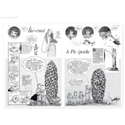 La Hulotte N°36/37 : Spécial Epicéa - L'Ecureuil - Le grand procès des Epicéas - Cônes intacts, cônes rongés La Hulotte N°36/37 : Spécial Epicéa - L'Ecureuil - Le grand procès des Epicéas - Cônes intacts, cônes rongés