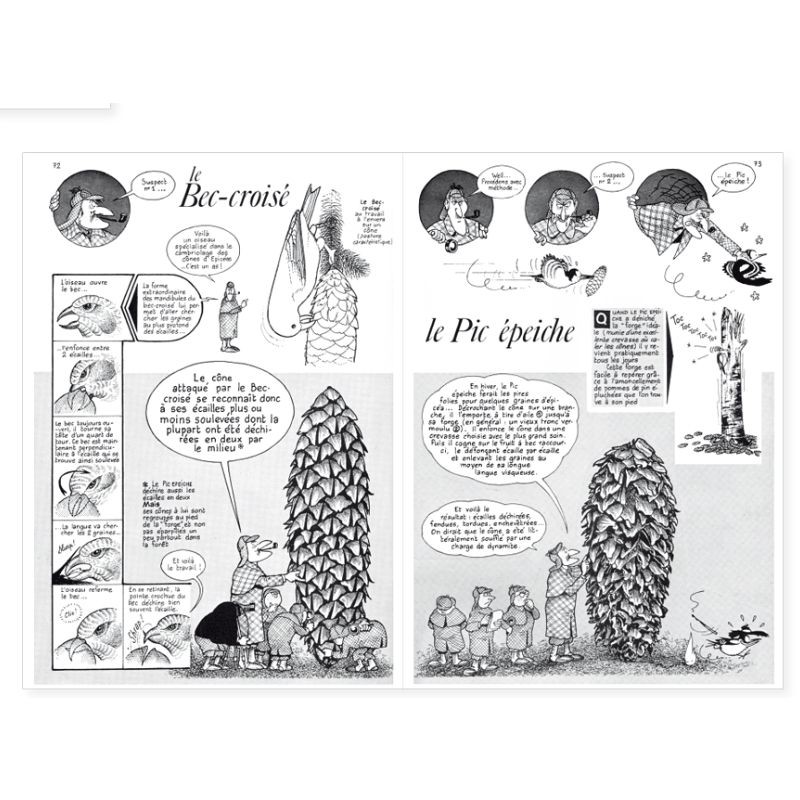 La Hulotte N°36/37 : Spécial Epicéa - L'Ecureuil - Le grand procès des Epicéas - Cônes intacts, cônes rongés La Hulotte N°36/37 : Spécial Epicéa - L'Ecureuil - Le grand procès des Epicéas - Cônes intacts, cônes rongés