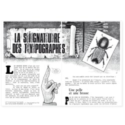La Hulotte N°38 : L'Ips typographe - le Coucou [1]