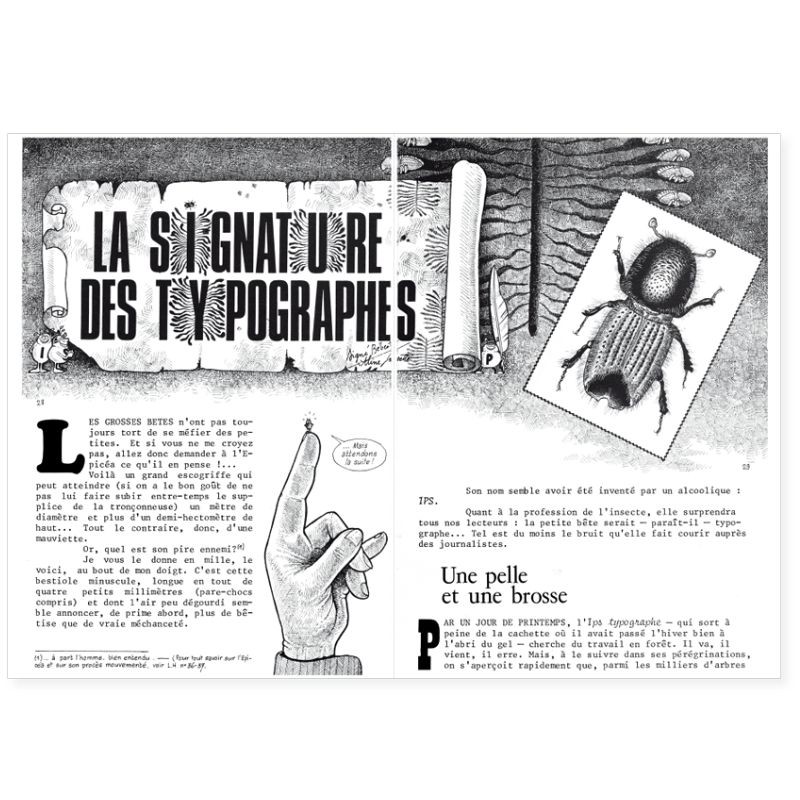 La Hulotte N°38 : L'Ips typographe - le Coucou [1]