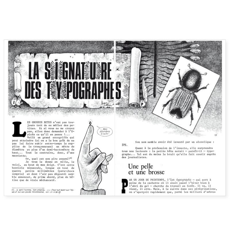 La Hulotte N°39 : Le Coucou [2] - la Droséra (plante carnivore)