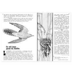 La Hulotte N°39 : Le Coucou [2] - la Droséra (plante carnivore)