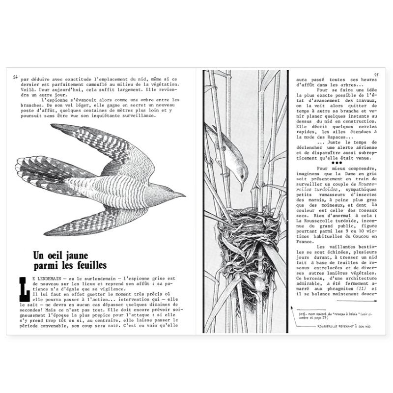 La Hulotte N°39 : Le Coucou [2] - la Droséra (plante carnivore)