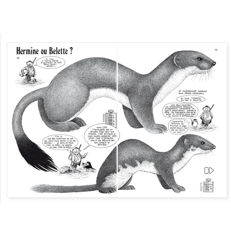 La Hulotte N°41 : La Belette - L'Hermine