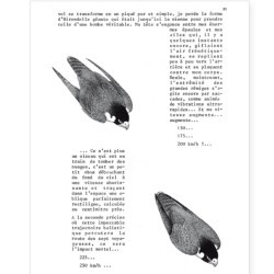 La Hulotte N°42/43 : Vie et mort du Faucon pélerin [1] - l'Oiseau-bombe