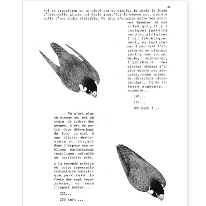 La Hulotte N°42/43 : Vie et mort du Faucon pélerin [1] - l'Oiseau-bombe