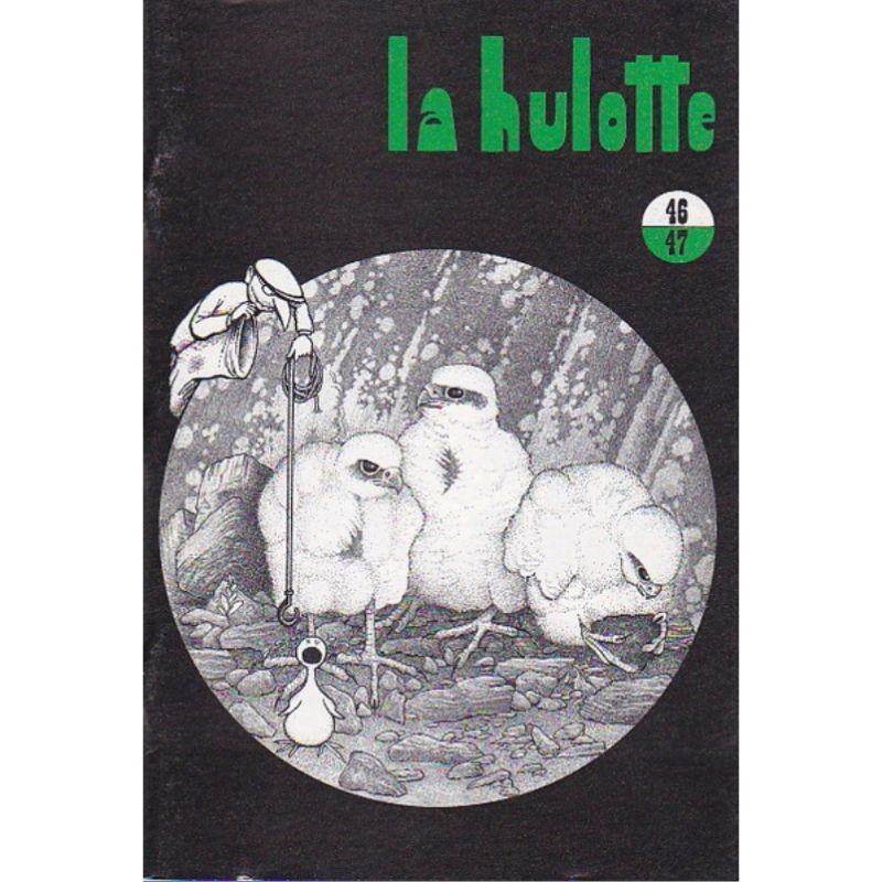 La Hulotte N°46/47 : Vie et mort du Faucon pèlerin [3] - Nestor Falco a des ennuis