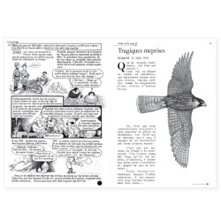 La Hulotte N°46/47 : Vie et mort du Faucon pèlerin [3] - Nestor Falco a des ennuis