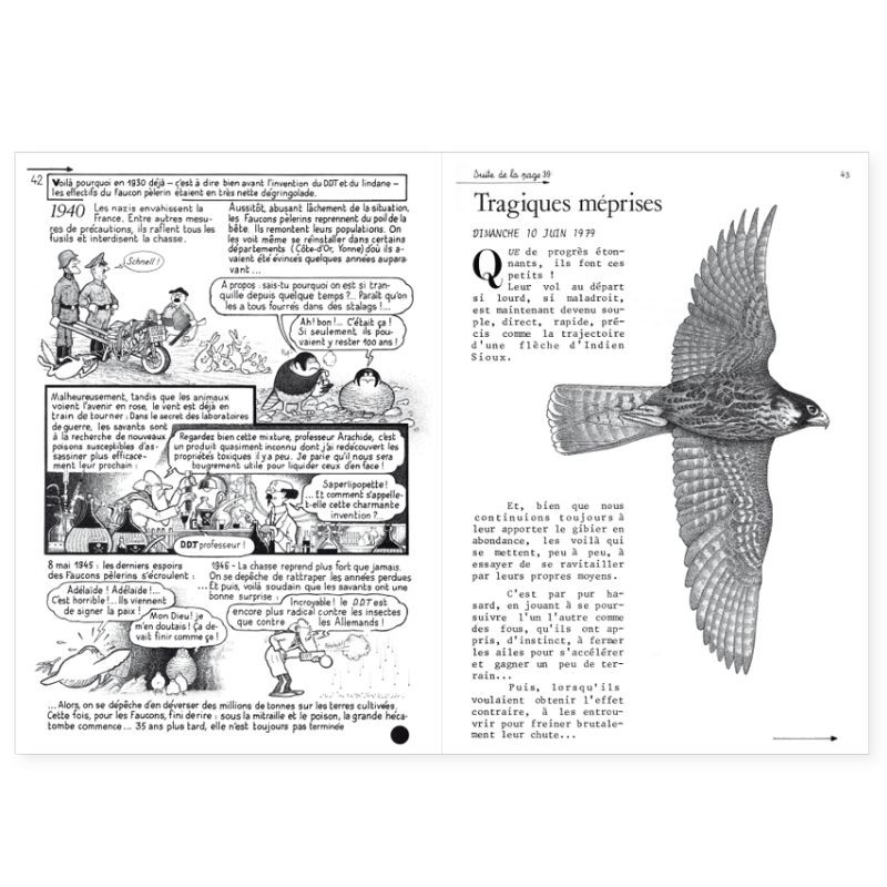 La Hulotte N°46/47 : Vie et mort du Faucon pèlerin [3] - Nestor Falco a des ennuis