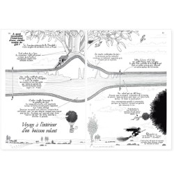 La Hulotte N°49 : Le Gui [2]