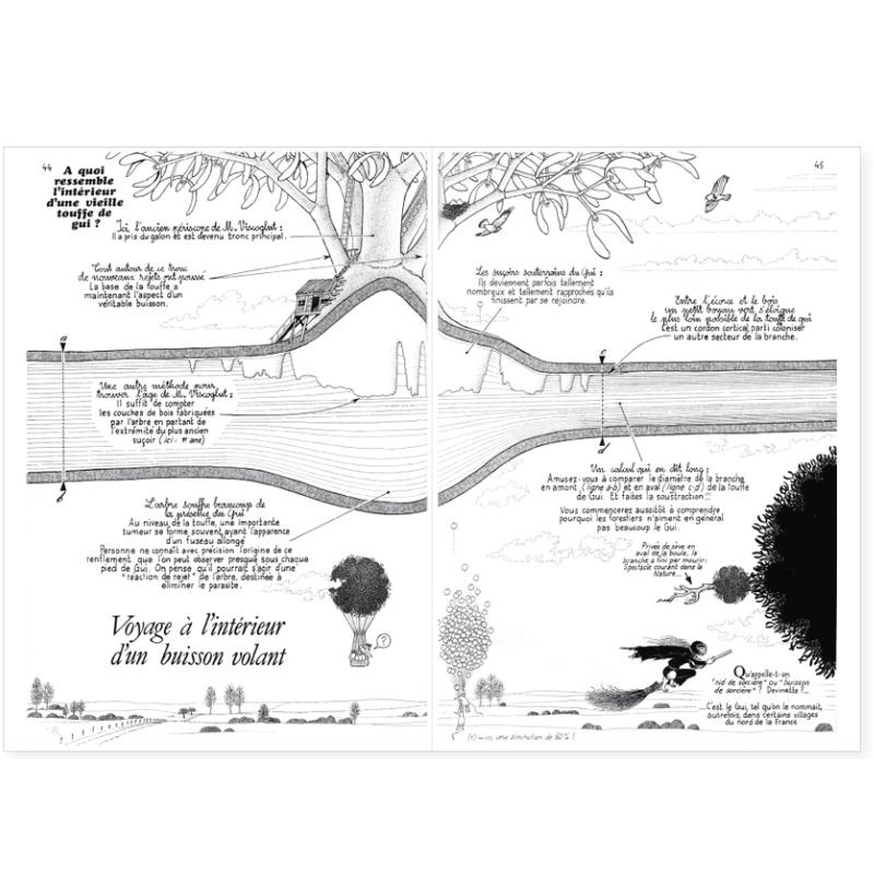 La Hulotte N°49 : Le Gui [2]