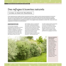 Favoriser la biodiversité au jardin