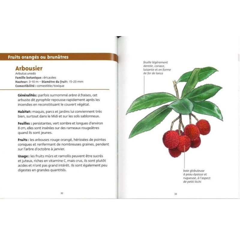 Baies et petits fruits - Les petits livres de la nature