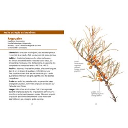 Baies et petits fruits - Les petits livres de la nature Baies et petits fruits - Les petits livres de la nature