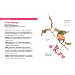 Baies et petits fruits - Les petits livres de la nature Baies et petits fruits - Les petits livres de la nature