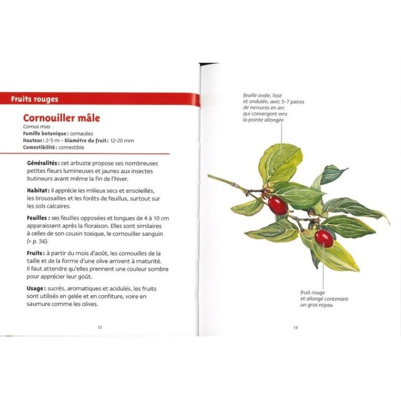 Baies et petits fruits - Les petits livres de la nature