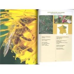 Planter des haies refuges pour les pollinisateurs