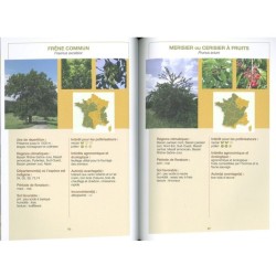 Planter des haies refuges pour les pollinisateurs