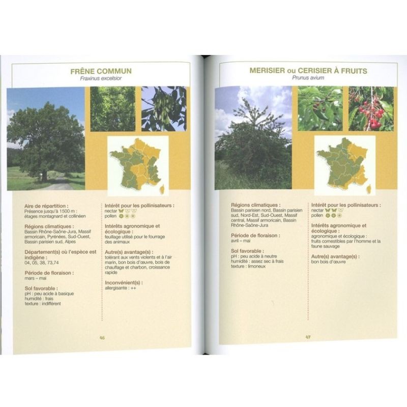 Planter des haies refuges pour les pollinisateurs