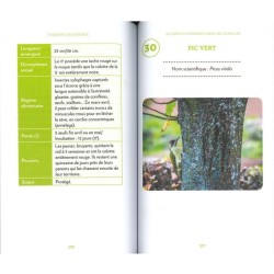 J'observe les oiseaux - Identifier et comprendre 40 espèces incontournables J'observe les oiseaux - Identifier et comprendre 40 espèces incontournables