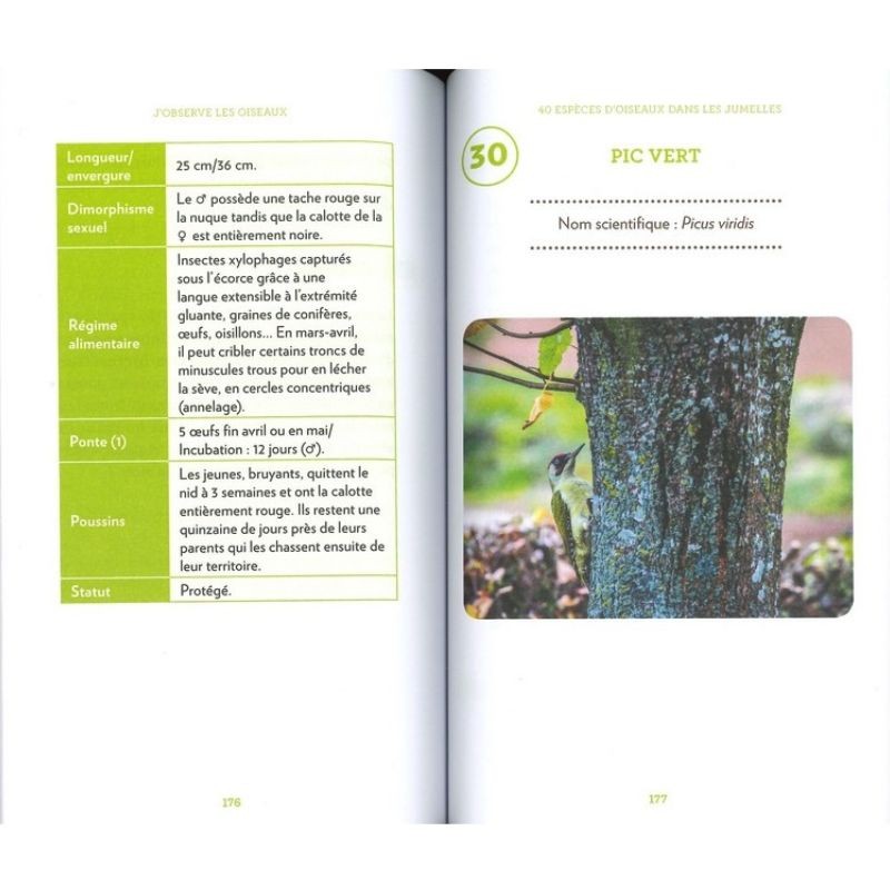 J'observe les oiseaux - Identifier et comprendre 40 espèces incontournables J'observe les oiseaux - Identifier et comprendre 40 espèces incontournables