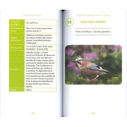 J'observe les oiseaux - Identifier et comprendre 40 espèces incontournables J'observe les oiseaux - Identifier et comprendre 40 espèces incontournables