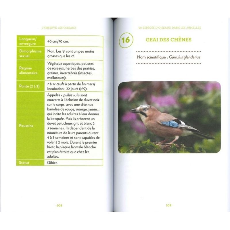 J'observe les oiseaux - Identifier et comprendre 40 espèces incontournables J'observe les oiseaux - Identifier et comprendre 40 espèces incontournables
