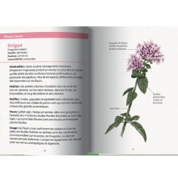 Plantes comestibles - Les petits livres de la nature Plantes comestibles - Les petits livres de la nature