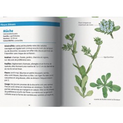 Plantes comestibles - Les petits livres de la nature Plantes comestibles - Les petits livres de la nature
