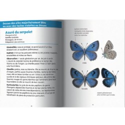 Papillons - Les petits livres de la nature