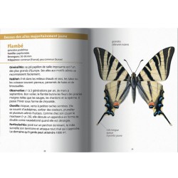 Papillons - Les petits livres de la nature