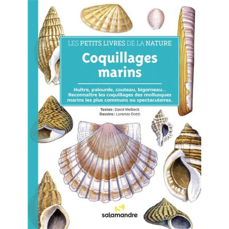 Coquillages marins - Les petits livres de la nature