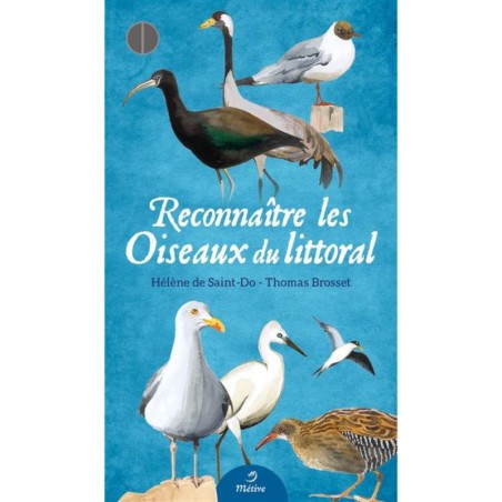 Reconnaître les Oiseaux du littoral