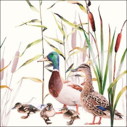 Serviettes "Canards" - Table