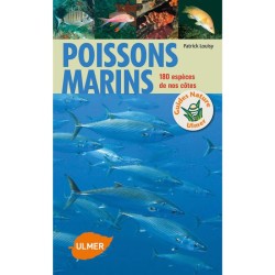 Poissons marins - 180 espèces de nos côtes