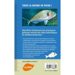 Poissons marins - 180 espèces de nos côtes Poissons marins - 180 espèces de nos côtes