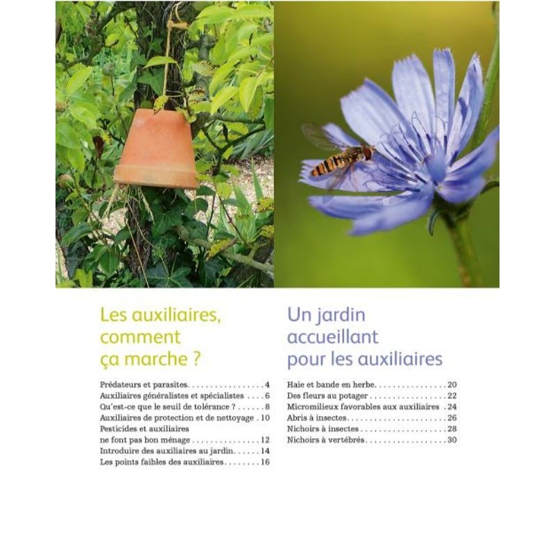Les auxiliaires au jardin - Une solution alternative aux pesticides Les auxiliaires au jardin - Une solution alternative aux pesticides